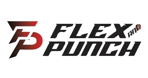 FlexAndPunch fitness brand Logo