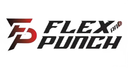 FlexAndPunch fitness brand Logo